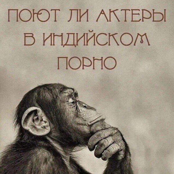 file_95045644