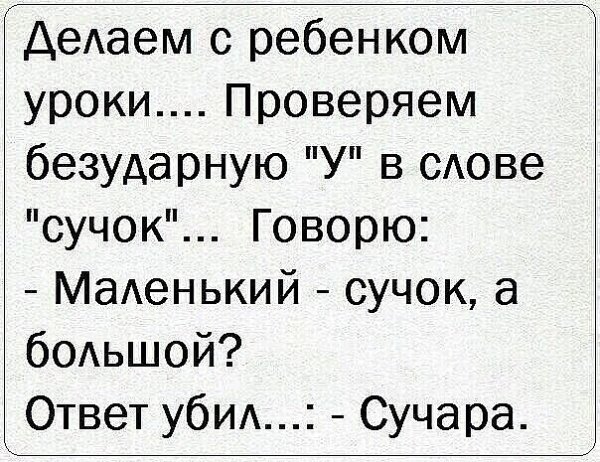 IMG 20260818 191550