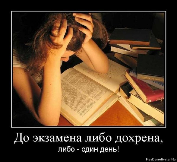 Перед экзаменом