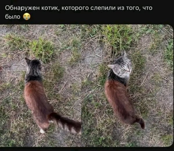 file_103322924