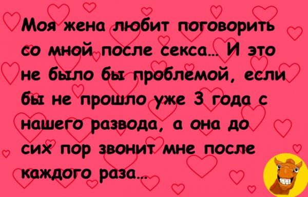 IMG 20241013 193939