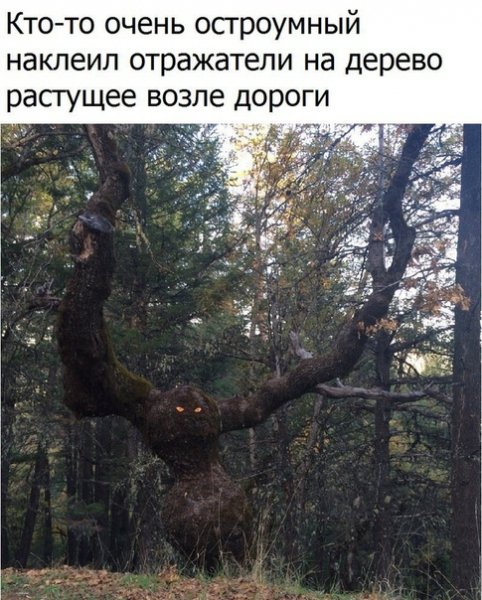 SоS