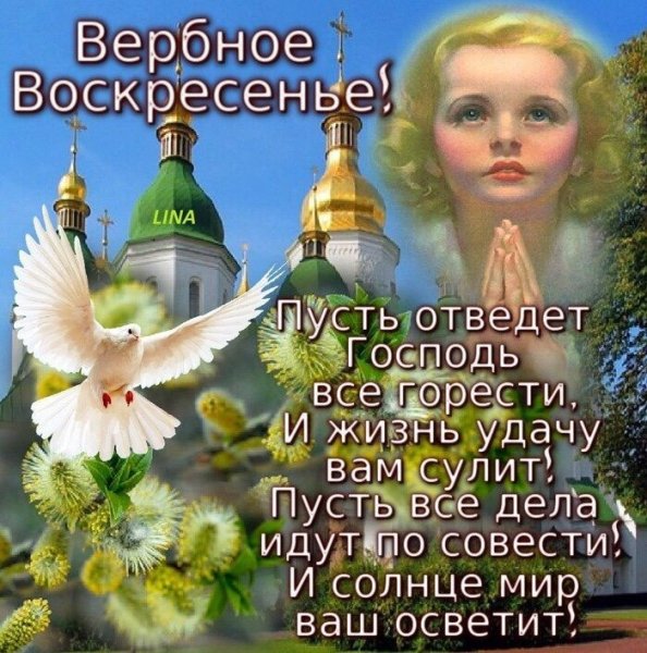 IMG 20200412 192040