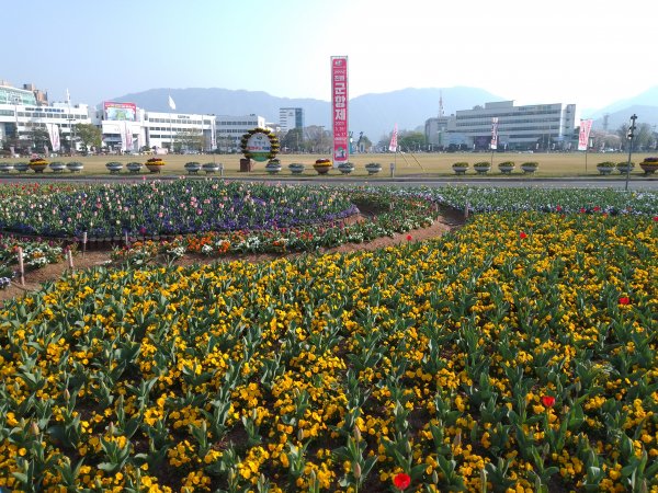 IMG 20230329 083818