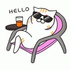 GIF - Hello Hi - Discover &amp; Share GIFs