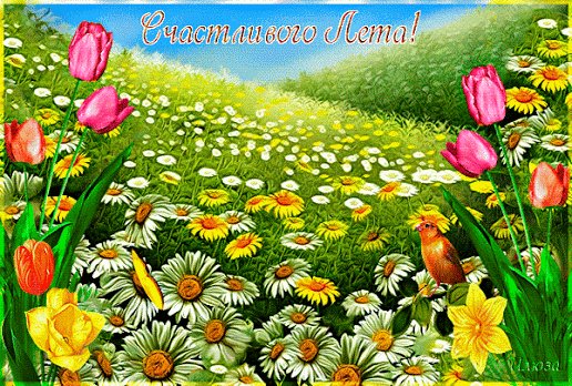 солнечного лета!