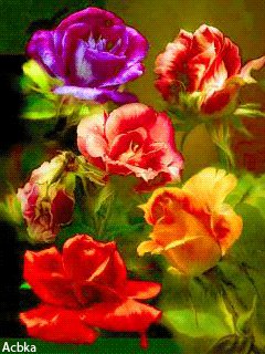 file_58255478