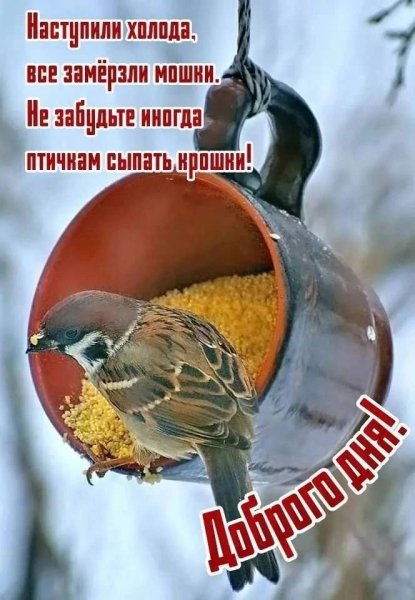 IMG-20251215-WA0011