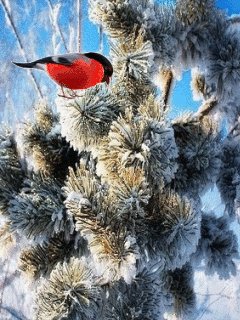 file_72601260