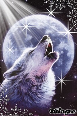 Volk i luna