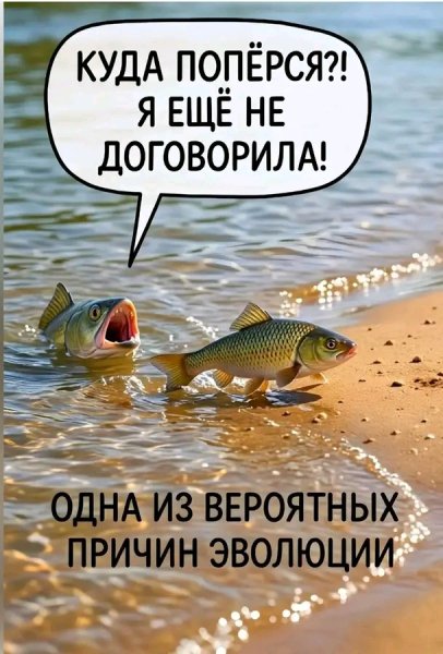 file_103310484
