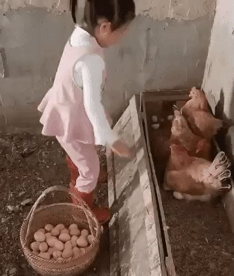 Сиделицы