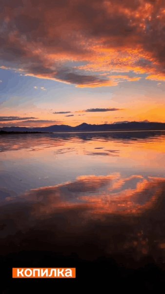 file_95139056