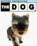 TheDog Yorkie