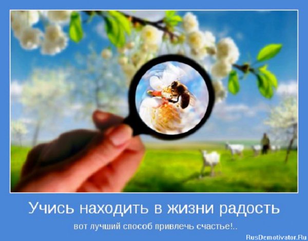 Учись находить в жизни радость