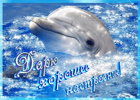 file_58871582