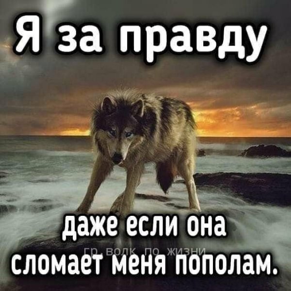 2b5c00fe9f29ddbf8ed7b1a3c5193044