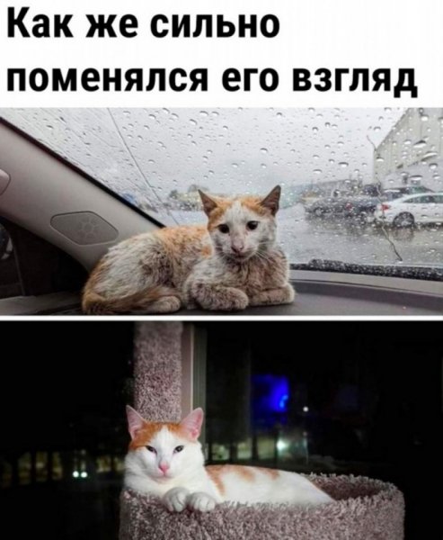 file_100186869