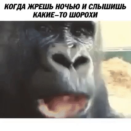 IMG 20230209 225640
