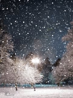 file_59463685
