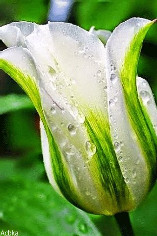 file_76890934