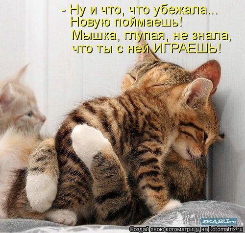 Успокоила
