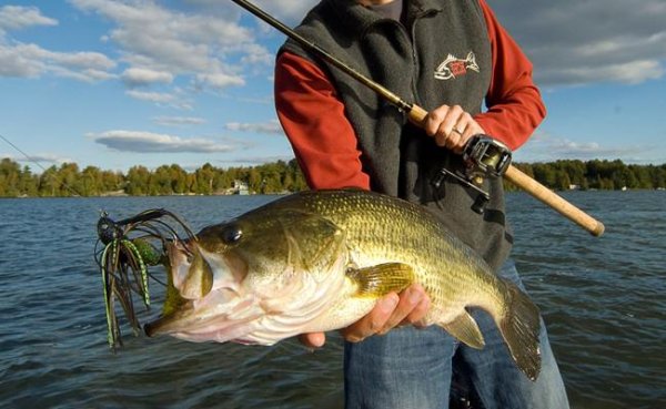 Bass Fishing 4