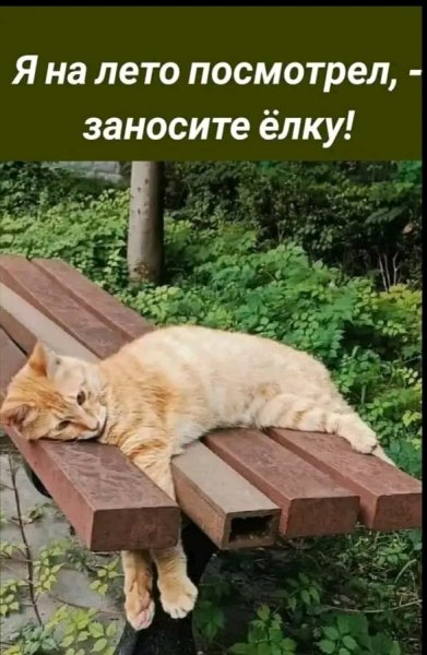 file_103264514