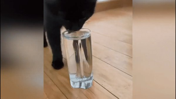 А он, бежит...