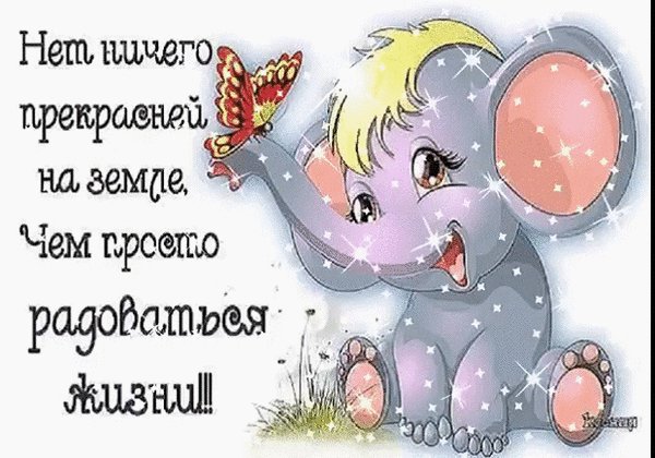 анимированная открытка радуйтесь жизни