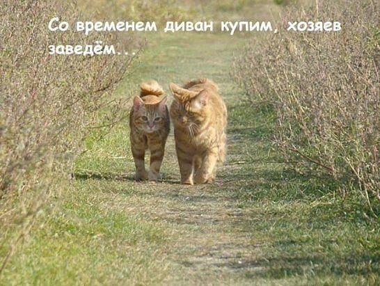 file_101403003