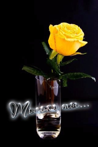 file_46596311