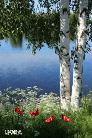 file_77948933
