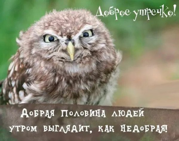 Доброе утречко!......