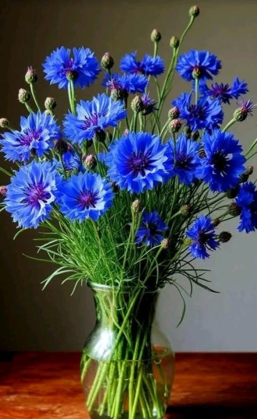 file_103170031