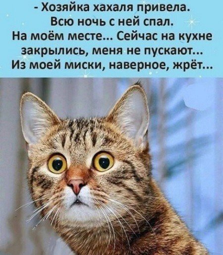 file_102928319