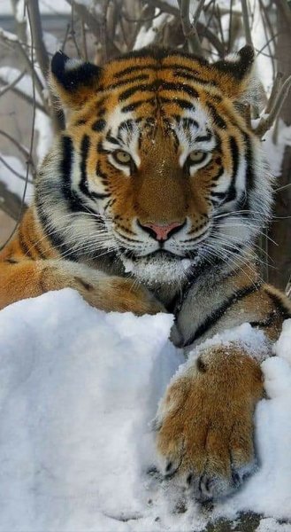 file_92956329