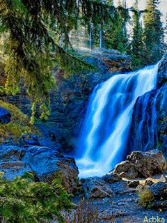 file_59501971