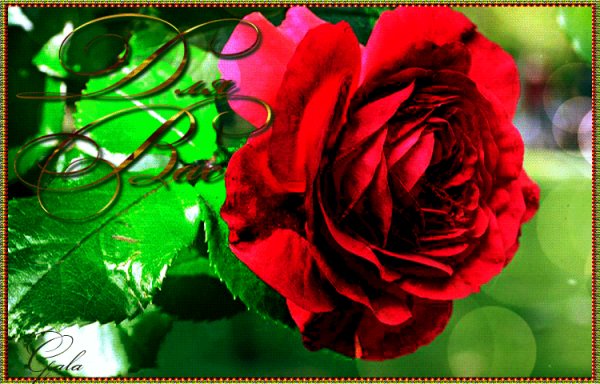 file_75073865