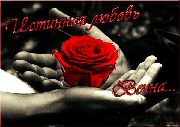 Истинная любовь-вечна