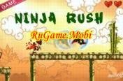 Ninja Rush v1.0.3