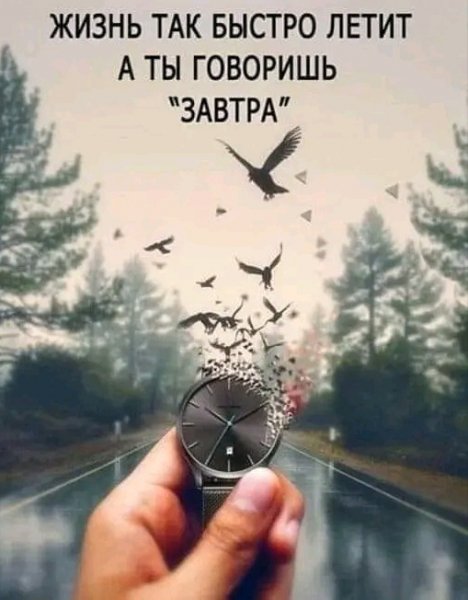 IMG 20260221 020739