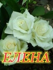 Лена ты моя королева