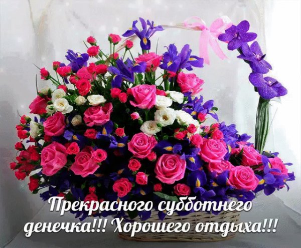 file_74087038