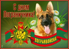 Zhivaya-otkrytka-s-dnem-pogranichnika-89338