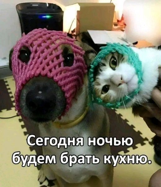 file_103248708