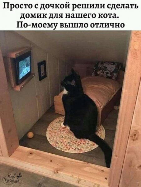 FB IMG 16241258809552925