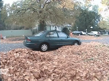 gifs 07