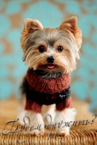 file_52238465