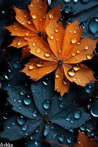 file_94943300
